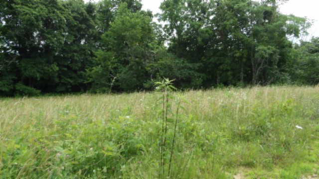 0 Livingston Highway Byrdstown TN 38549