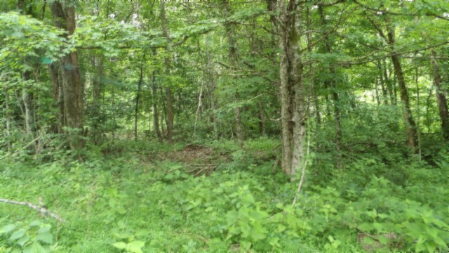 0 Livingston Highway Byrdstown TN 38549