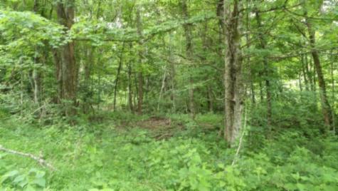 0 Livingston Highway Byrdstown TN 38549