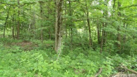0 Livingston Highway Byrdstown TN 38549