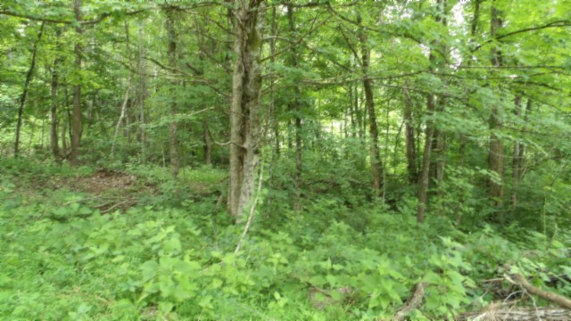 0 Livingston Highway Byrdstown TN 38549