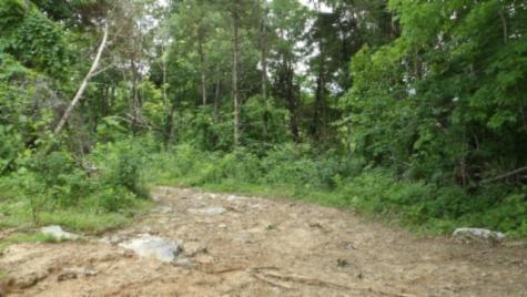 0 Livingston Highway Byrdstown TN 38549