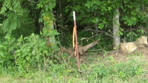 0 Livingston Highway Byrdstown TN 38549