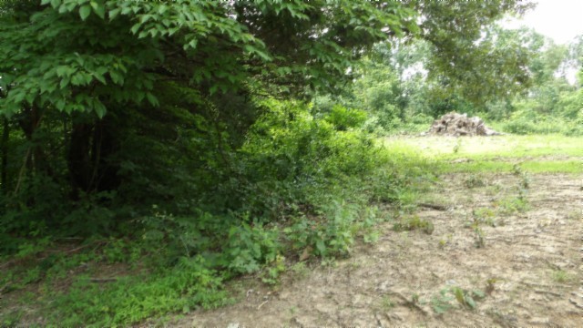 0 Livingston Highway Byrdstown TN 38549