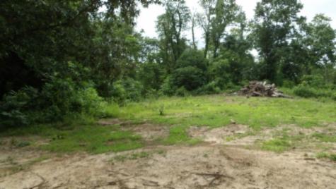 0 Livingston Highway Byrdstown TN 38549