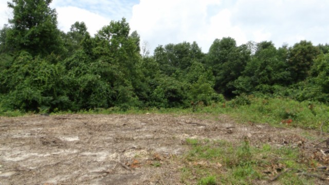 0 Livingston Highway Byrdstown TN 38549