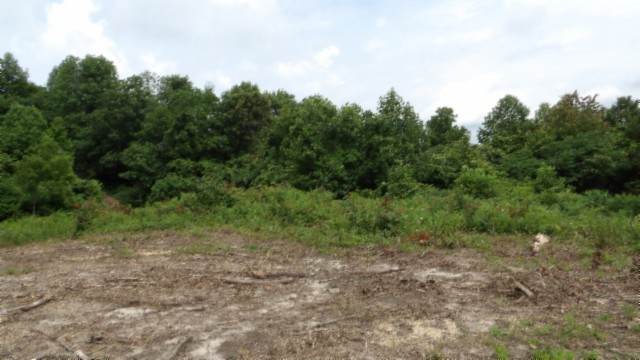 0 Livingston Highway Byrdstown TN 38549
