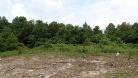 0 Livingston Highway Byrdstown TN 38549