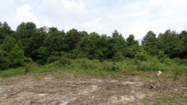 0 Livingston Highway Byrdstown TN 38549