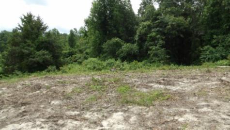 0 Livingston Highway Byrdstown TN 38549