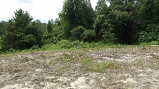 0 Livingston Highway Byrdstown TN 38549