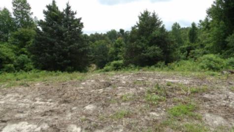 0 Livingston Highway Byrdstown TN 38549