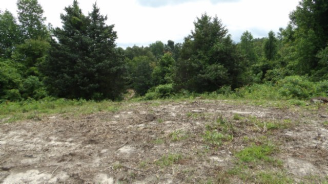 0 Livingston Highway Byrdstown TN 38549
