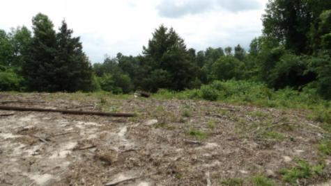 0 Livingston Highway Byrdstown TN 38549