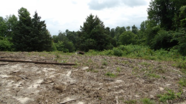 0 Livingston Highway Byrdstown TN 38549