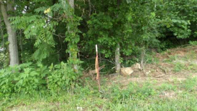 0 Livingston Highway Byrdstown TN 38549