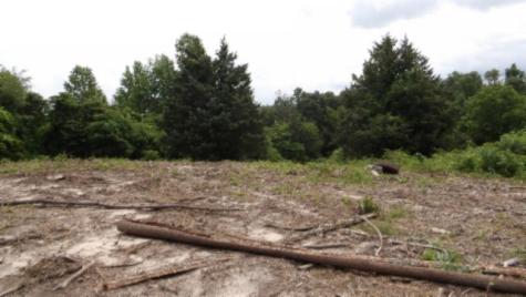 0 Livingston Highway Byrdstown TN 38549