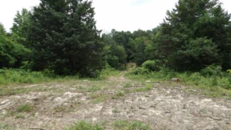 0 Livingston Highway Byrdstown TN 38549
