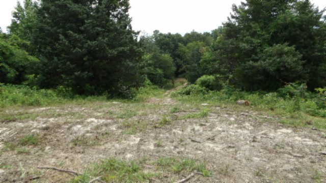 0 Livingston Highway Byrdstown TN 38549