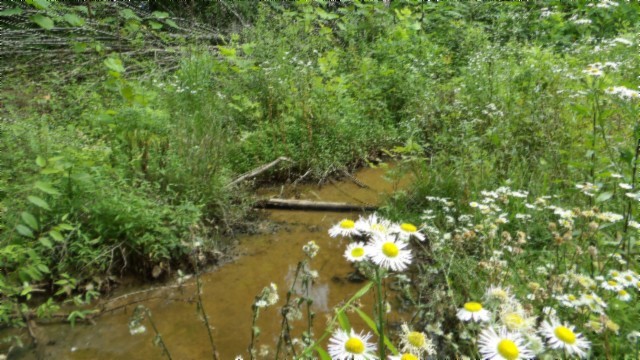 0 Livingston Highway Byrdstown TN 38549