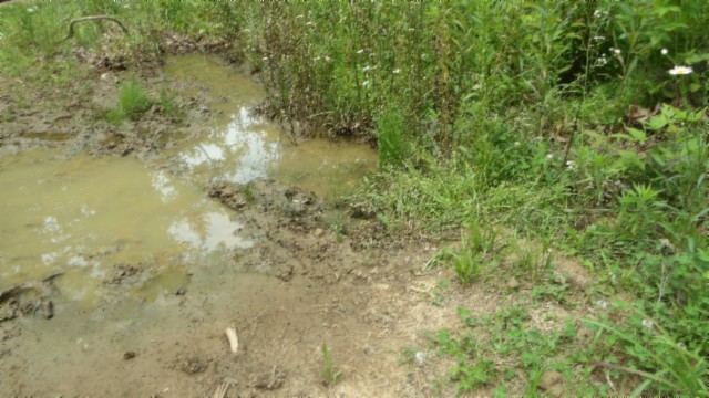 0 Livingston Highway Byrdstown TN 38549