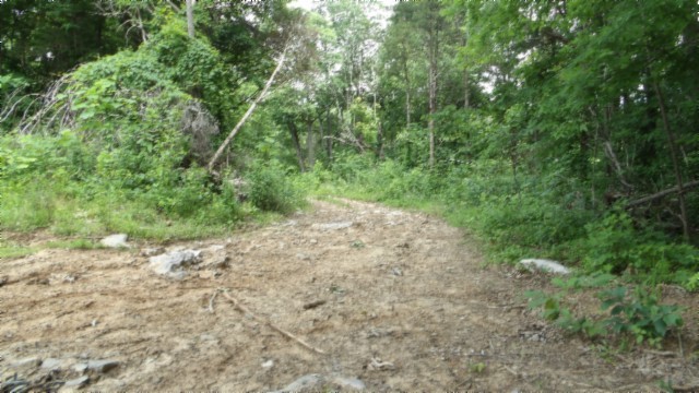 0 Livingston Highway Byrdstown TN 38549