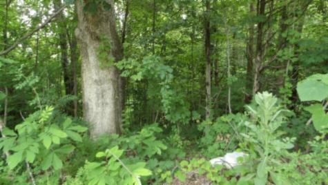 0 Livingston Highway Byrdstown TN 38549