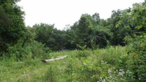 0 Livingston Highway Byrdstown TN 38549