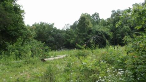 0 Livingston Highway Byrdstown TN 38549