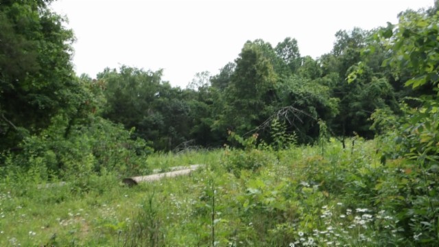 0 Livingston Highway Byrdstown TN 38549