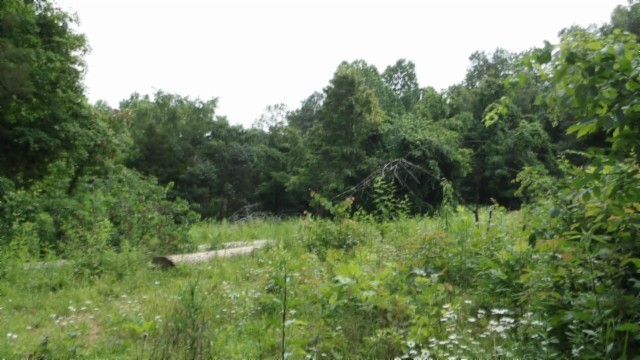 0 Livingston Highway Byrdstown TN 38549