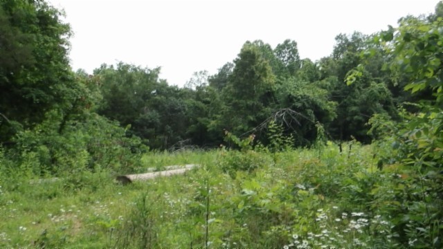 0 Livingston Highway Byrdstown TN 38549