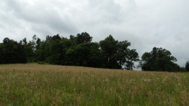 0 Livingston Highway Byrdstown TN 38549
