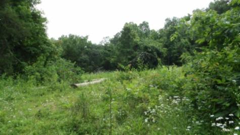 0 Livingston Highway Byrdstown TN 38549