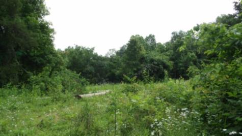 0 Livingston Highway Byrdstown TN 38549