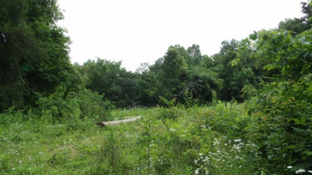 0 Livingston Highway Byrdstown TN 38549