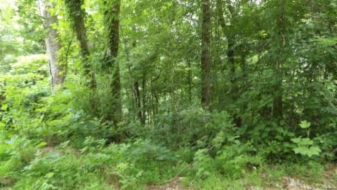 0 Livingston Highway Byrdstown TN 38549