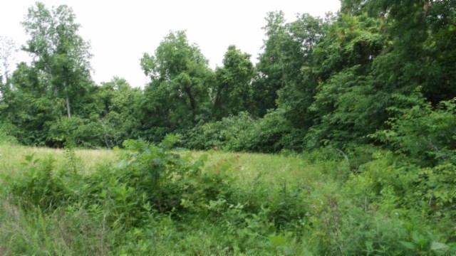 0 Livingston Highway Byrdstown TN 38549