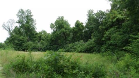 0 Livingston Highway Byrdstown TN 38549
