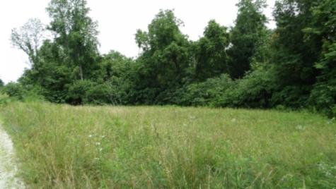 0 Livingston Highway Byrdstown TN 38549