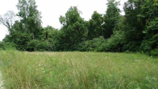 0 Livingston Highway Byrdstown TN 38549