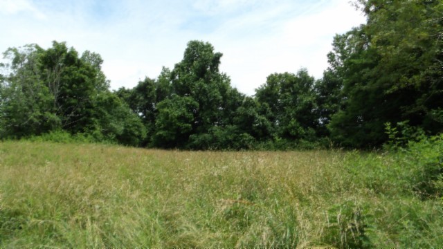 0 Livingston Highway Byrdstown TN 38549