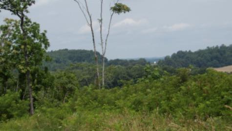 0 Livingston Highway Byrdstown TN 38549