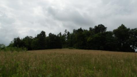0 Livingston Highway Byrdstown TN 38549