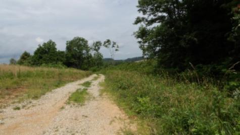 0 Livingston Highway Byrdstown TN 38549