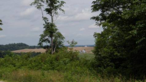0 Livingston Highway Byrdstown TN 38549