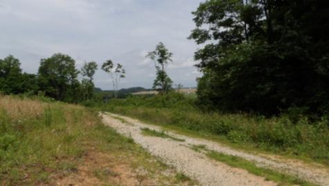 0 Livingston Highway Byrdstown TN 38549