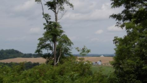 0 Livingston Highway Byrdstown TN 38549