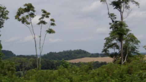 0 Livingston Highway Byrdstown TN 38549