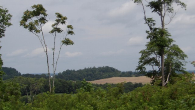 0 Livingston Highway Byrdstown TN 38549